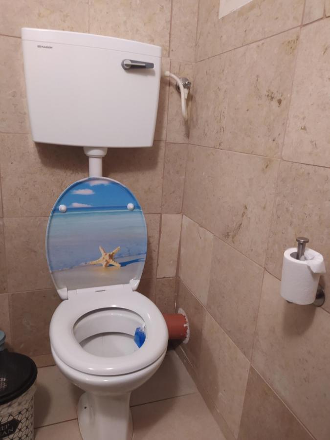 Amirאצלנו בקיבוץ公寓 外观 照片